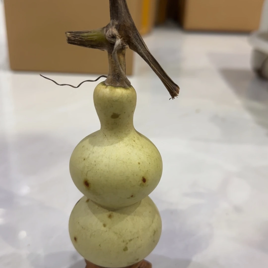 青皮不包成青皮不包成