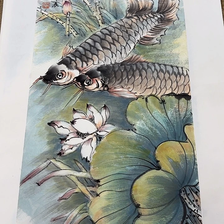 国画茗*花鸟等多种鸟类的栖息地和栖息地