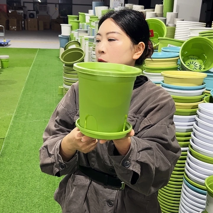 正品圆控口15高15混色10只带托