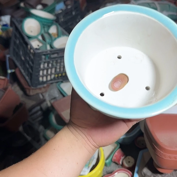 在家里等了你三分钟还等