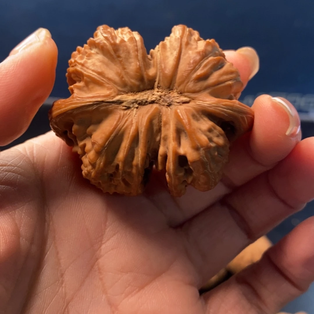 o***哥文玩核桃吊坠白狮子