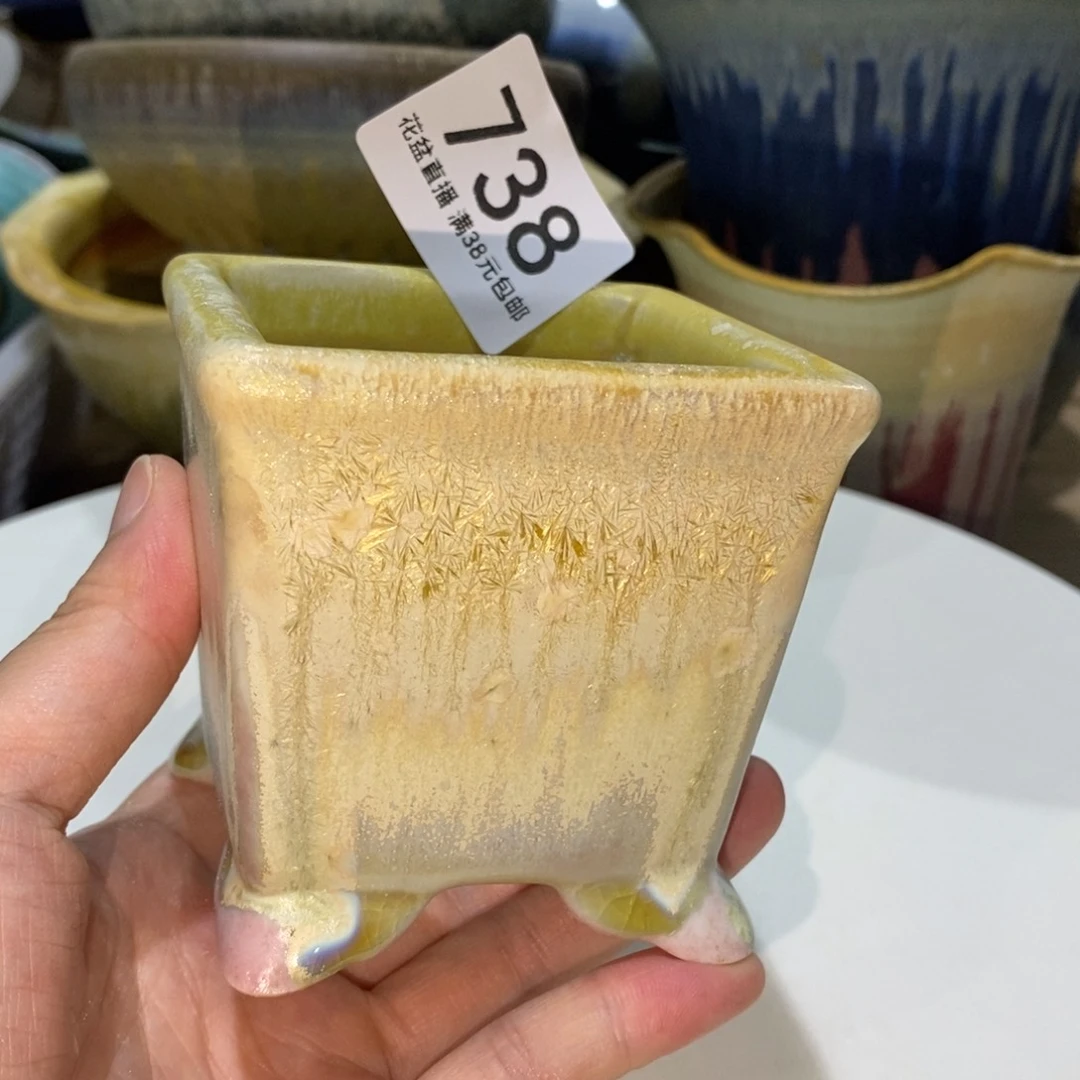 花盆花盆花盆花盆