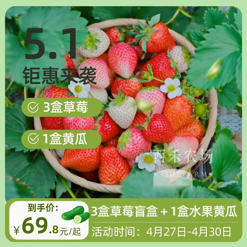【西禾草莓】草莓 新鲜 3.4斤装 盲盒➕水果黄瓜 不分果型 郑州同城 不是丹东河南省