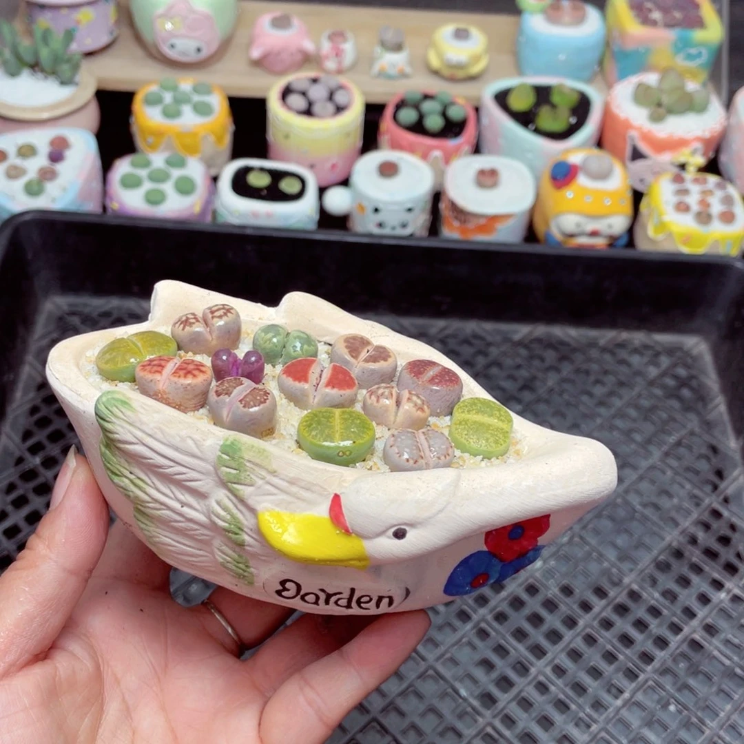 w1678 -零下地区拍保温箱-15支持寄养