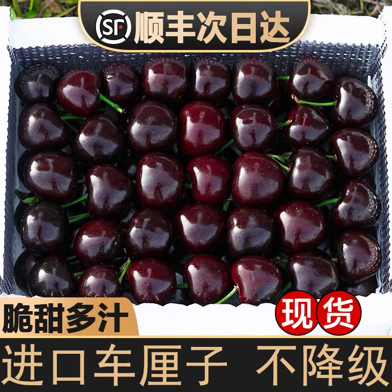 智利空运车厘子礼盒装 桑提娜3JD级升级吉制发货当季新鲜水果 XG净果800g（内附果径卡）桑提娜樱桃智利共和国