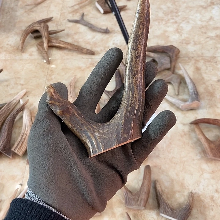 谢***明大叶紫檀（黑酸枝木类）