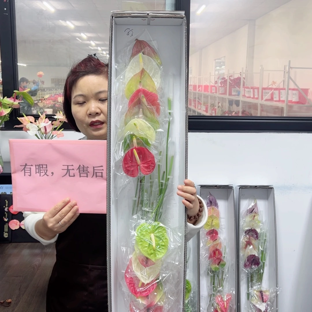 完全开放16支混色有瑕无售后款163