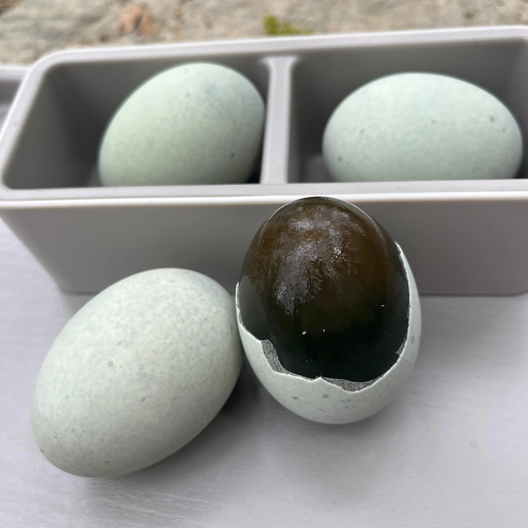 光山特产熟食松花蛋皮蛋20枚