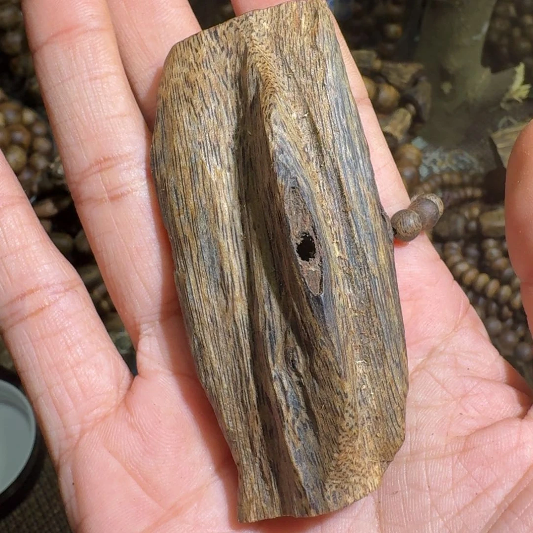 沉香沉香碎屑S****a海南乌身虫漏19.4克料子