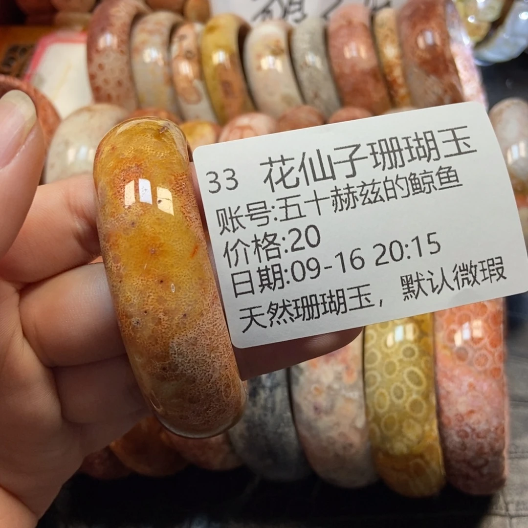 五***鱼未镶嵌硅化珊瑚（珊瑚玉）珠宝半成品33