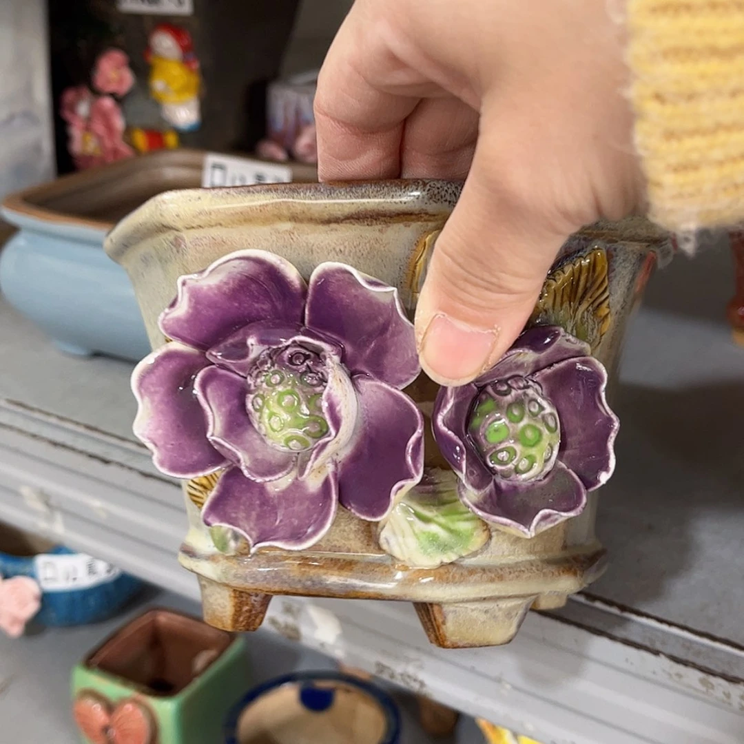 【闪购商品】红陶福利