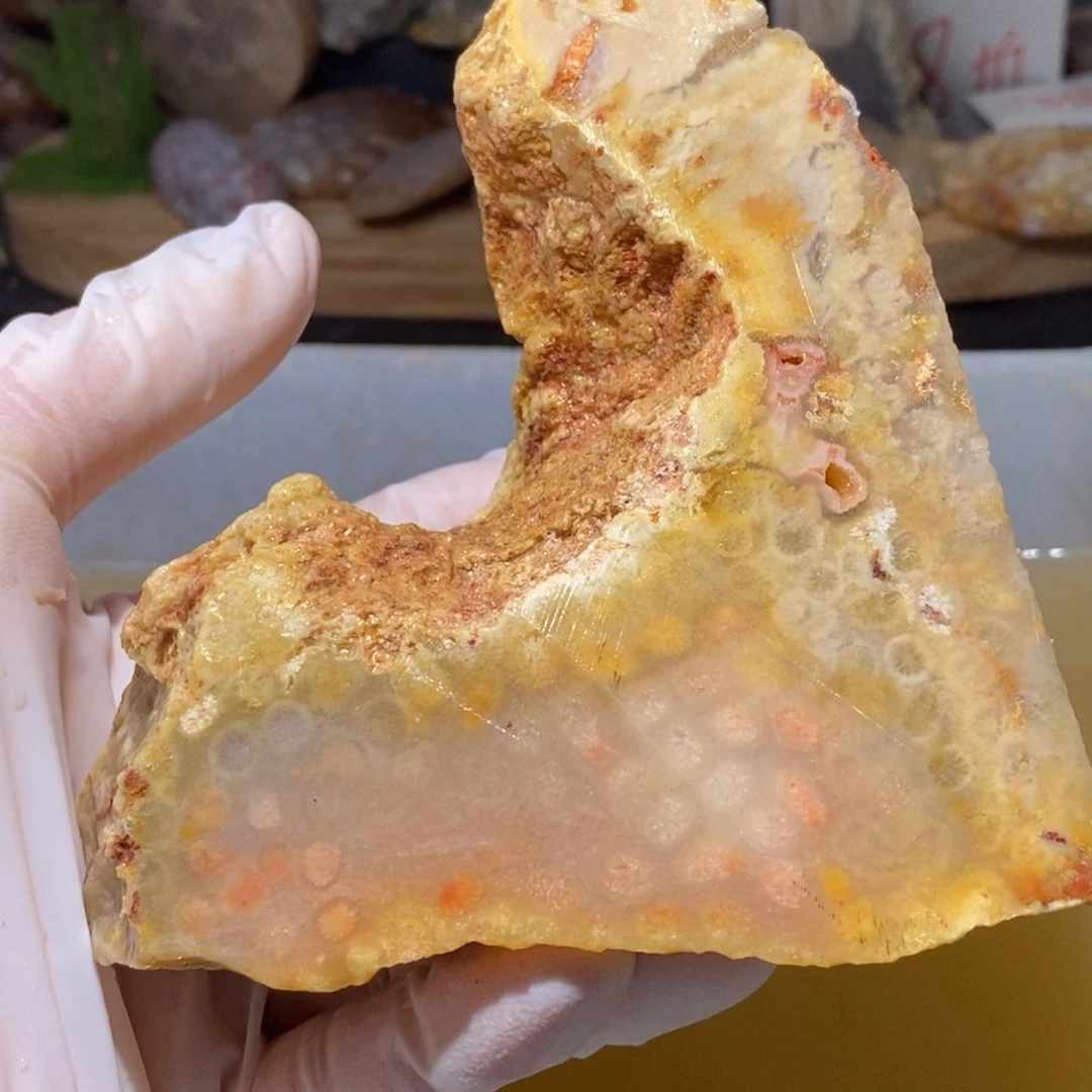 【闪购商品】硅化玉颈饰未镶嵌