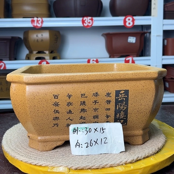 花盆紫砂蛇年大吉