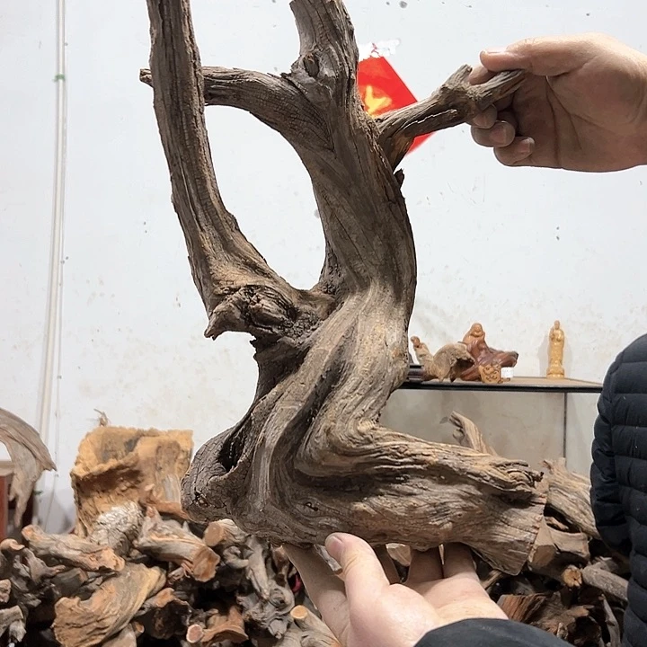 柏木贾**特我们的生活也是如此