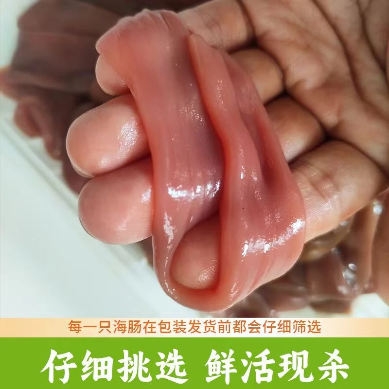 丹东特产冷水海肠去内脏气冻