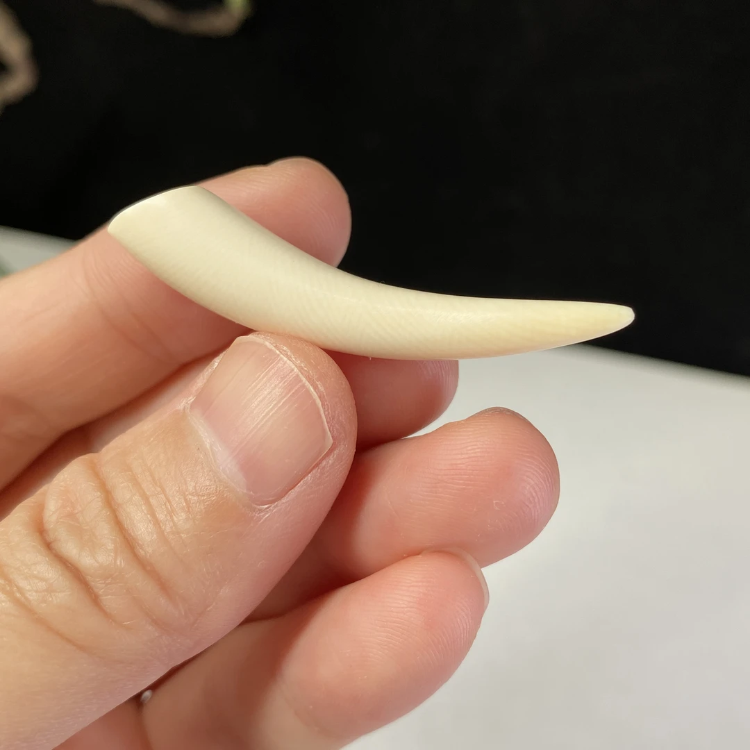 Y3猛犸象牙牙尖配饰挂件手机挂件文玩配饰猛犸象牙保真猛犸象牙