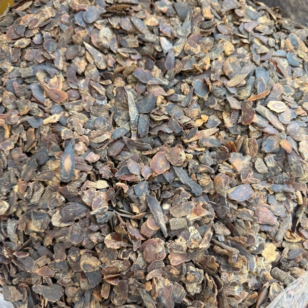 （118老髙丽）煲汤泡水泡酒泡蜂蜜可搭配西洋参