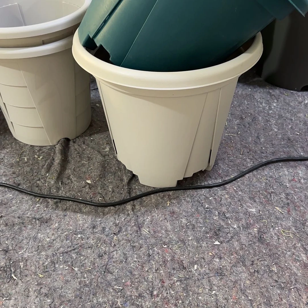 微瑕青山7号10个无托，灰白