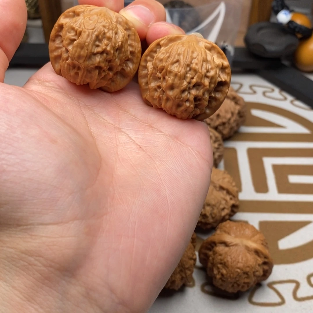 野狼哈哈哈哈哈哈36