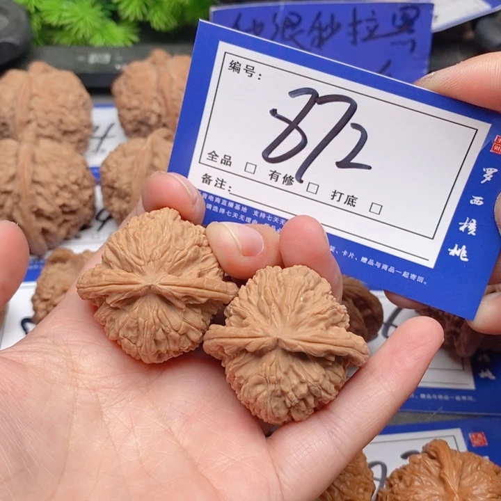 把件桃核37全品白狮子872号牌