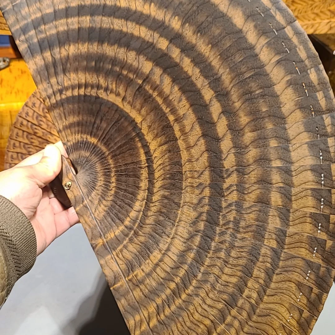 李***白金丝楠28苏扇金丝楠木小叶桢楠乌木