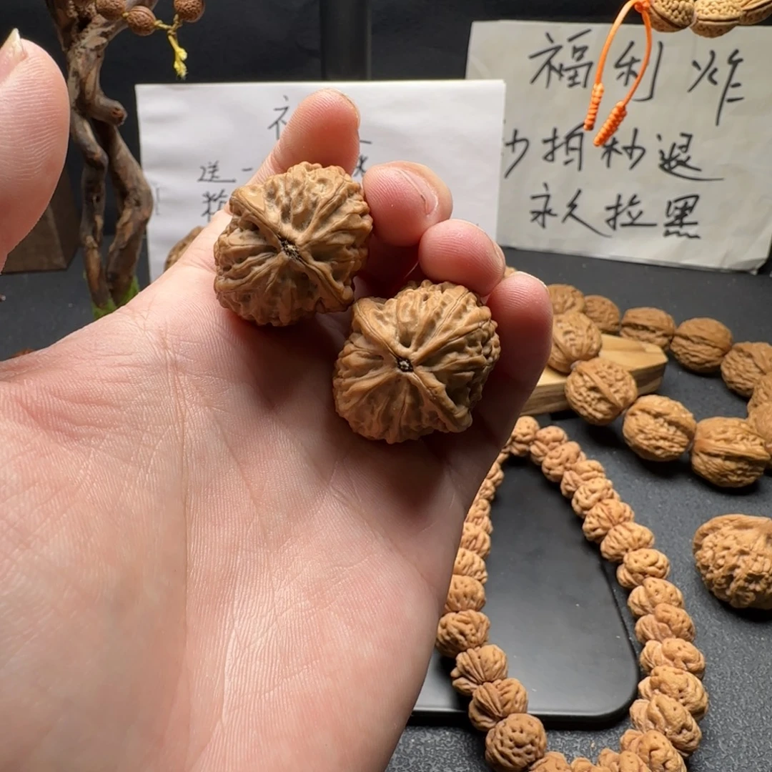 核桃野生子弹全品无修