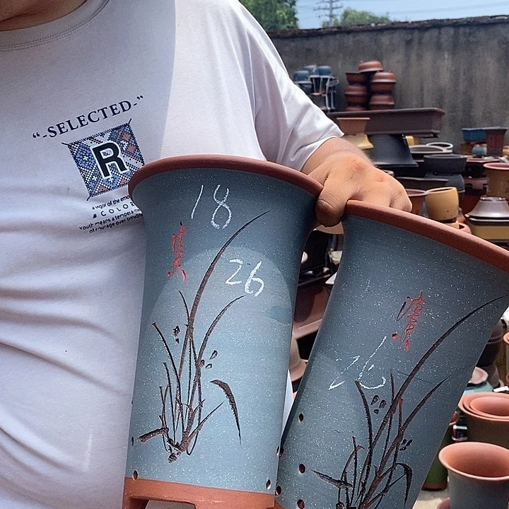 紫砂花盆盆栽花卉观赏