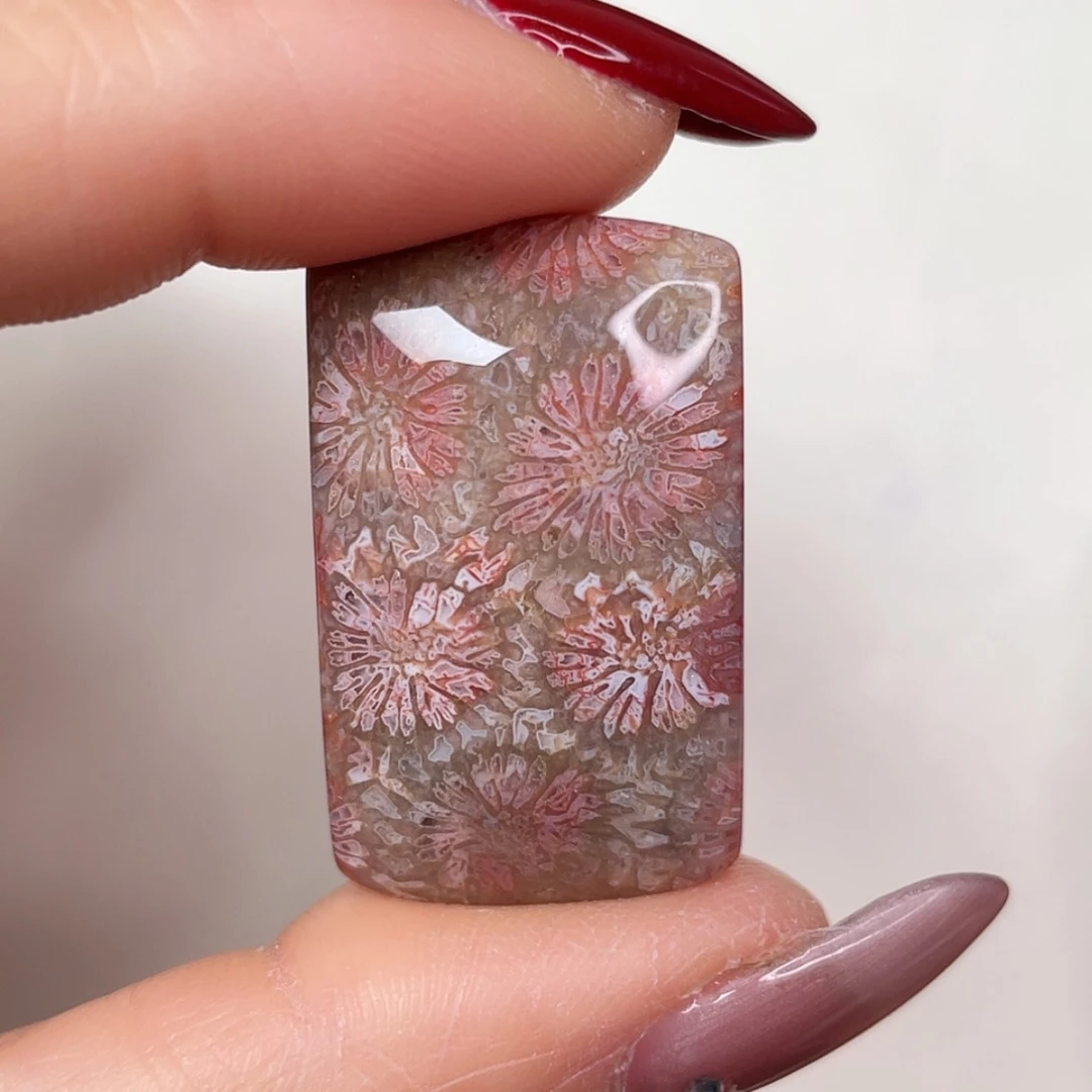 【闪购商品】未镶嵌吊坠(赠链)硅化玉