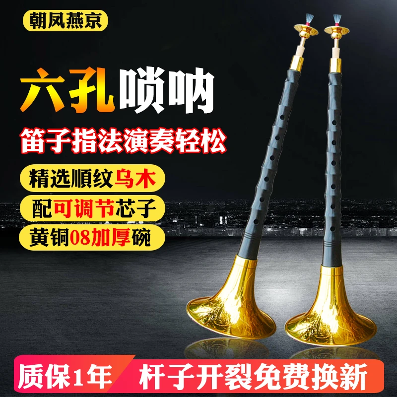 六孔唢呐乐器全套练手演奏专业乌木降B大G初学者D成人儿童大号