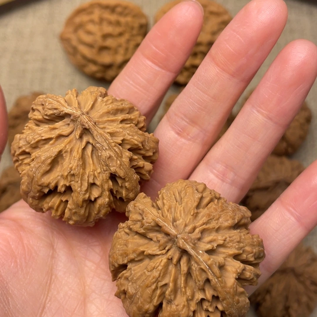 3***℃核桃秦岭核桃15号