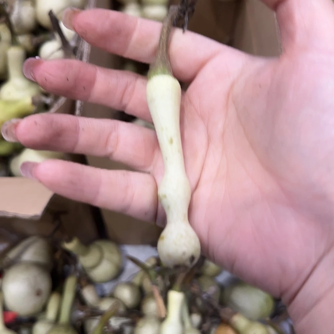 呵***啊葫芦v哈哈复仇计划法国哈哈哈