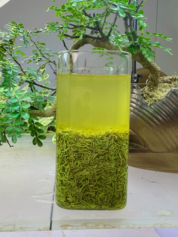 【2025新茶】豫山沟•浉河港信阳毛尖断芽尖碎