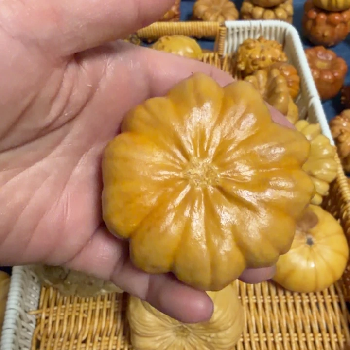 一***鸣墨西哥七彩疙瘩葫芦