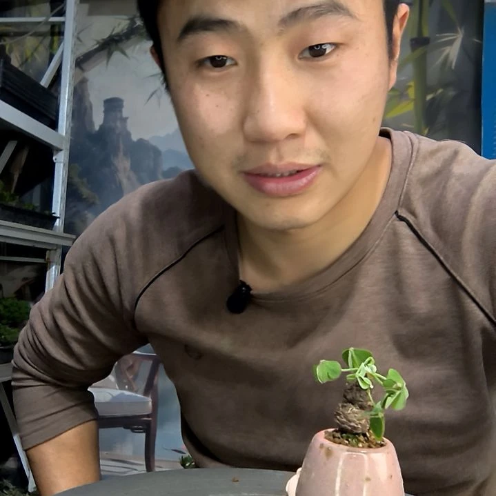 ღ***࿐中青园艺一物一36