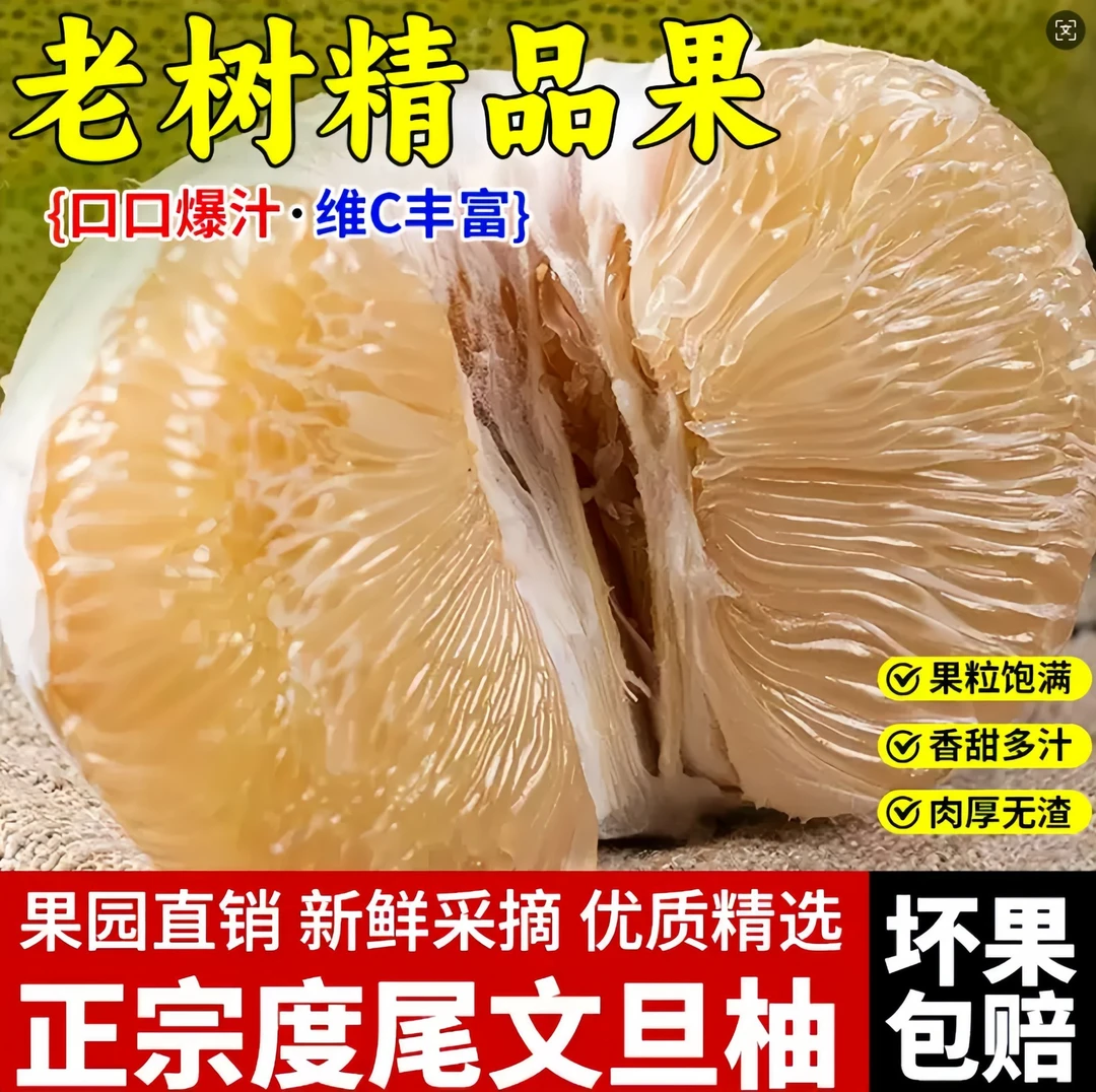【针眼果】正宗福建度尾30年文旦柚红心柚子国场现摘鲜甜