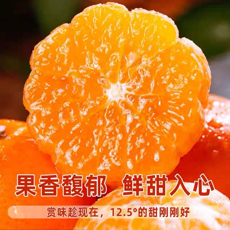 HT广西武鸣沃柑新鲜水果当季整箱10斤现摘现发