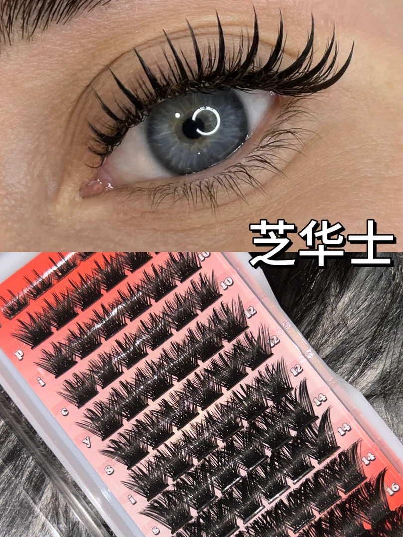 Spicy Sis Lashes【芝华士】狐系新中式欧美甜魅假睫毛新手单簇分段