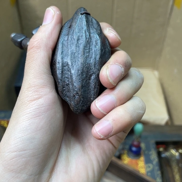贝壳摆件烽云恩专属精选链接