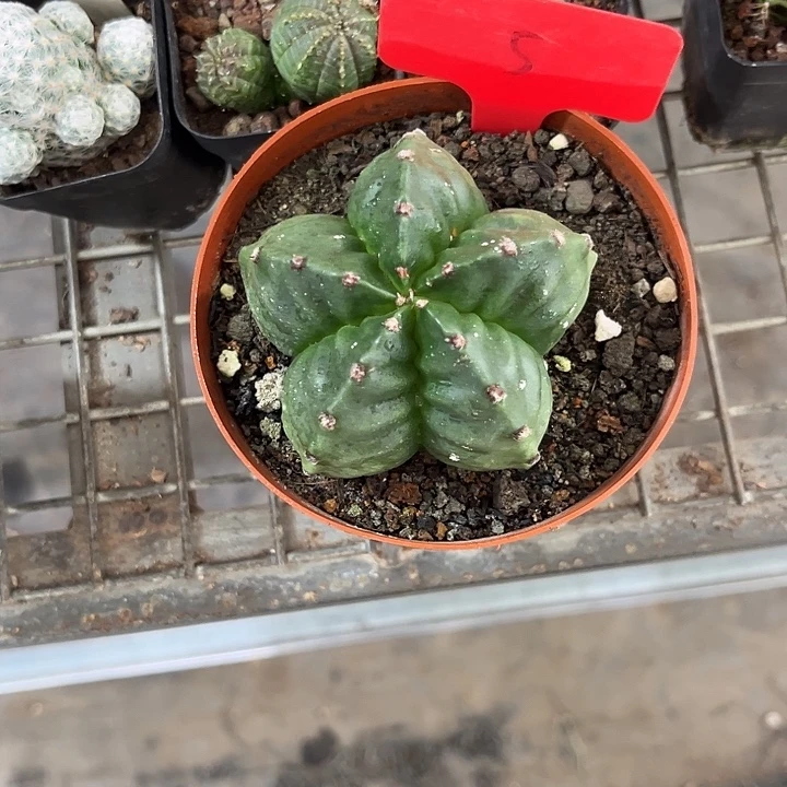 冰***我也不知道我为什么要这样