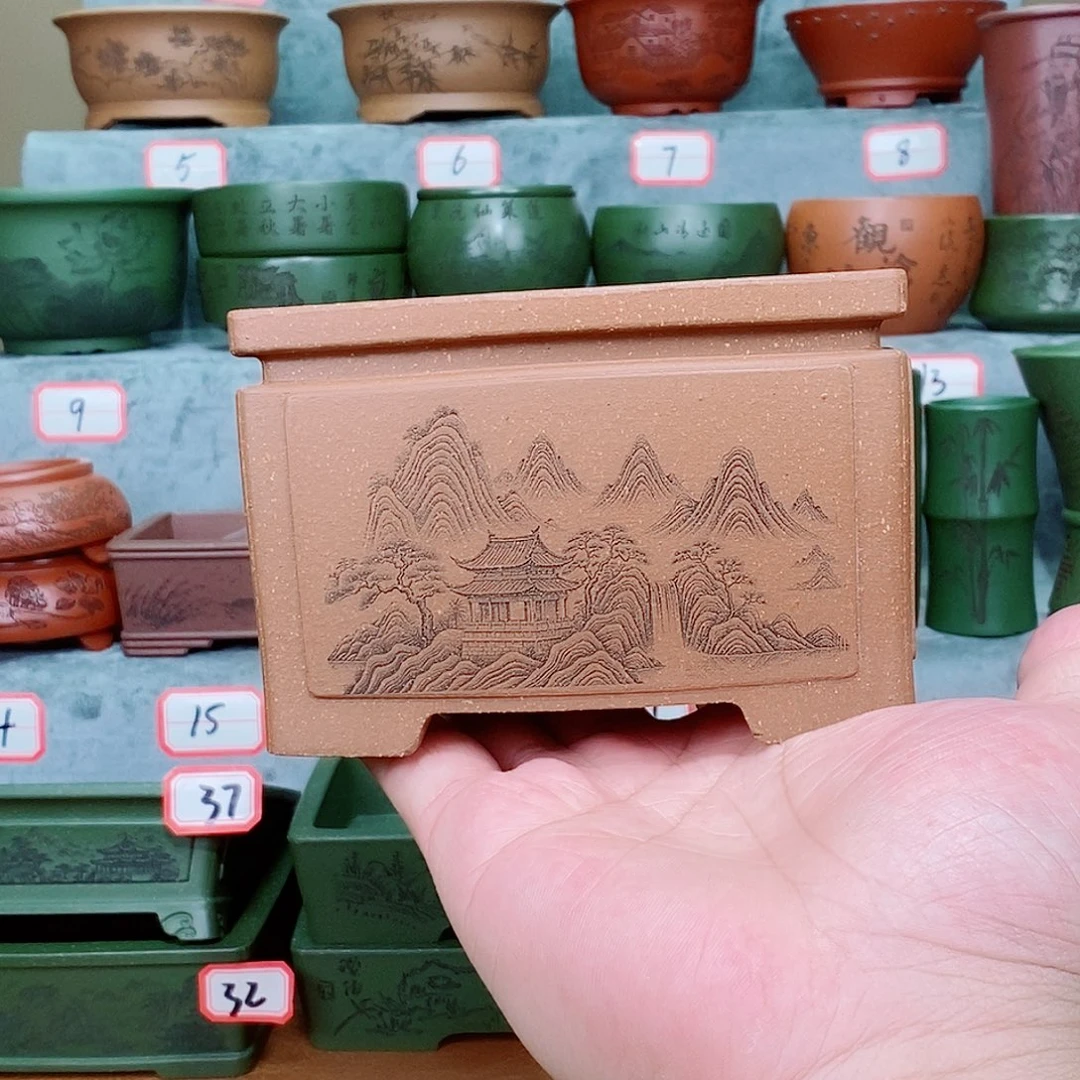 紫砂花盆我在看书