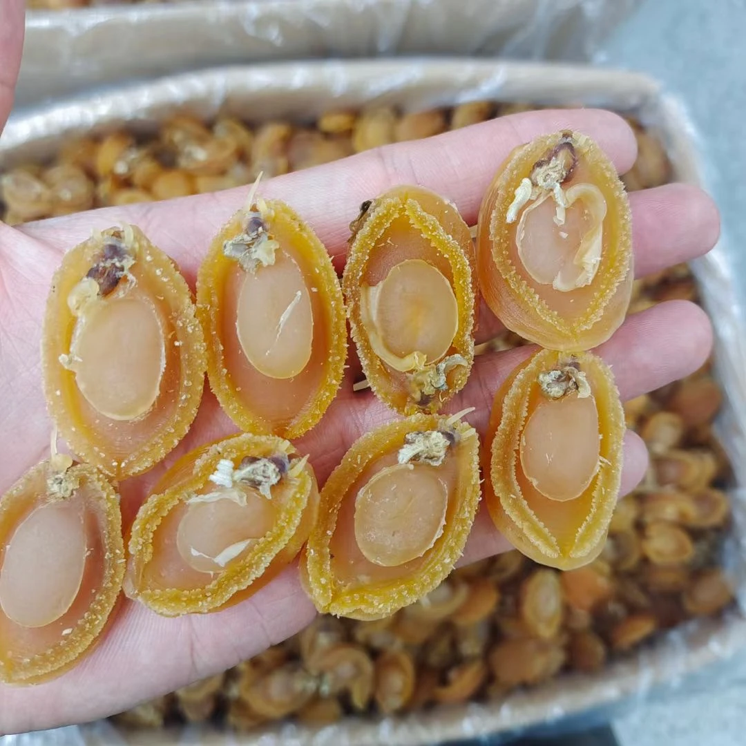 大连20头大鲍鱼干干货煲汤佛跳墙原材料新鲜海产品过节送礼真空装