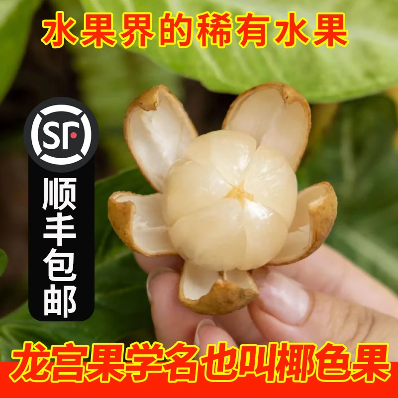 龙宫果新鲜热带水果龙贡爱情果顺丰包邮