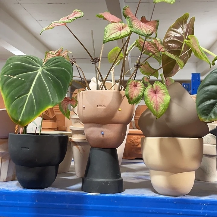 口14×14     备注发3    不含绿植
