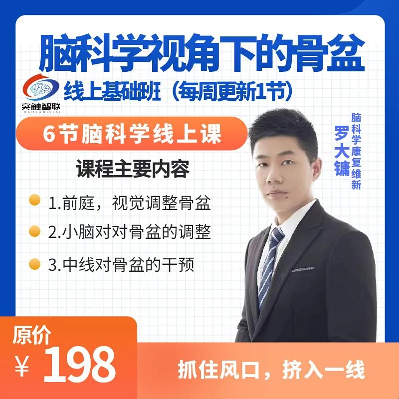 脑科学视角下的骨盆