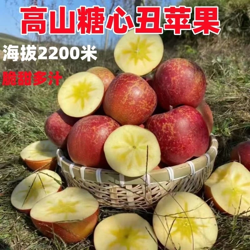 【精品高原丑苹果】云南高山脆甜冰糖心丑苹果富士水果基地直发