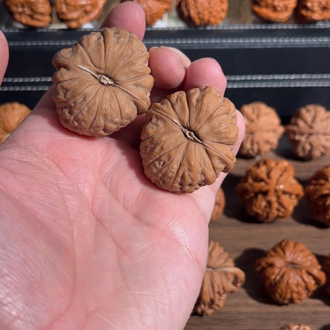 手串/手链核桃边40肚43全品南瓜墩