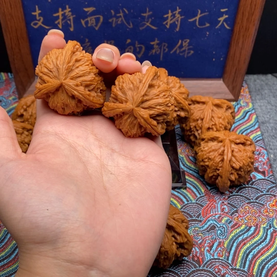 【闪购商品】无*人白狮