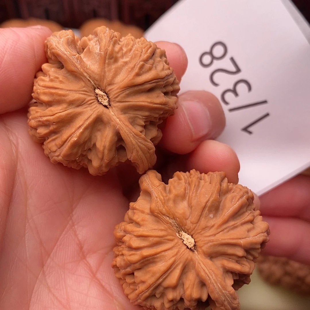 把件文玩核桃37.5白狮子