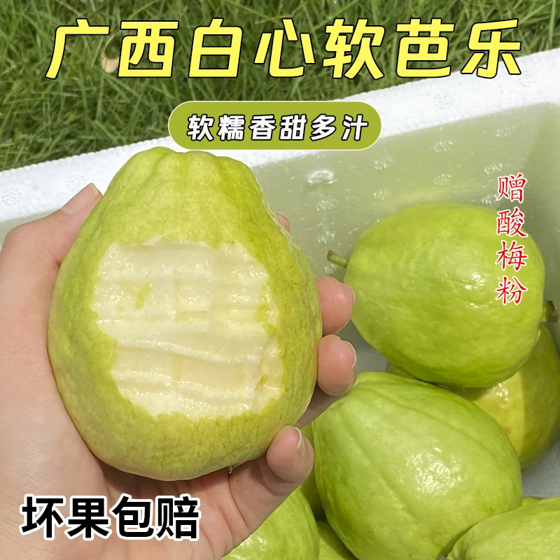 正宗白心奶油芭乐现摘现发水果新鲜番石榴产地直发包邮坏果包赔