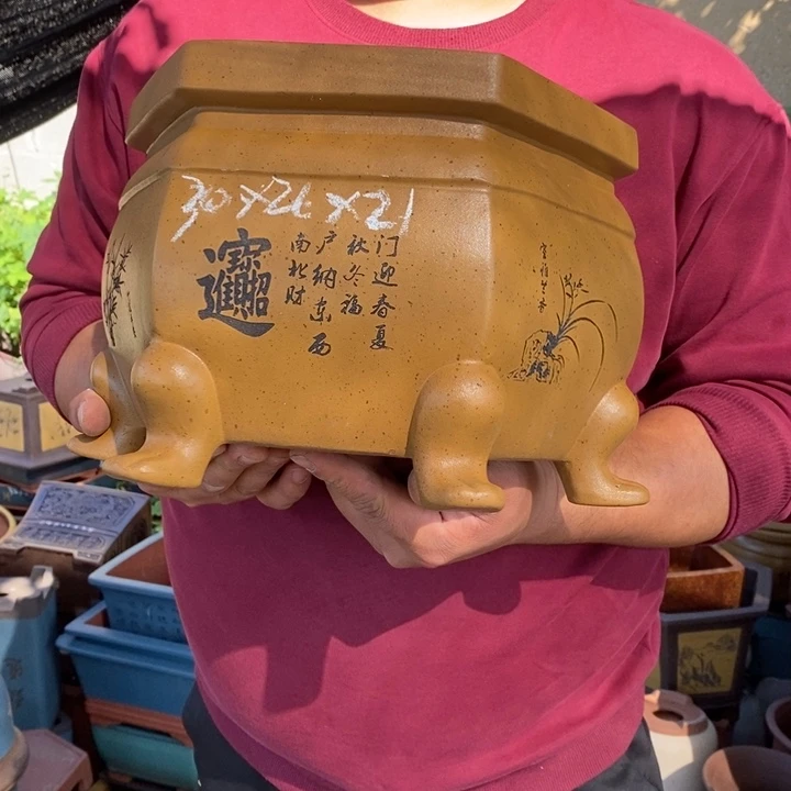 花盆紫砂这首单曲的歌曲是我最